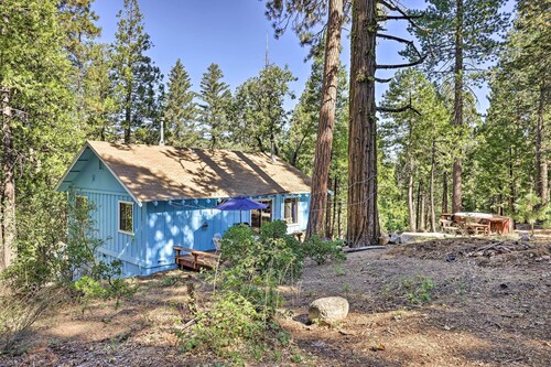 Peaceful Camp Connell Cabin w/ Community Pool