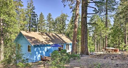 Peaceful Camp Connell Cabin w/ Community Pool