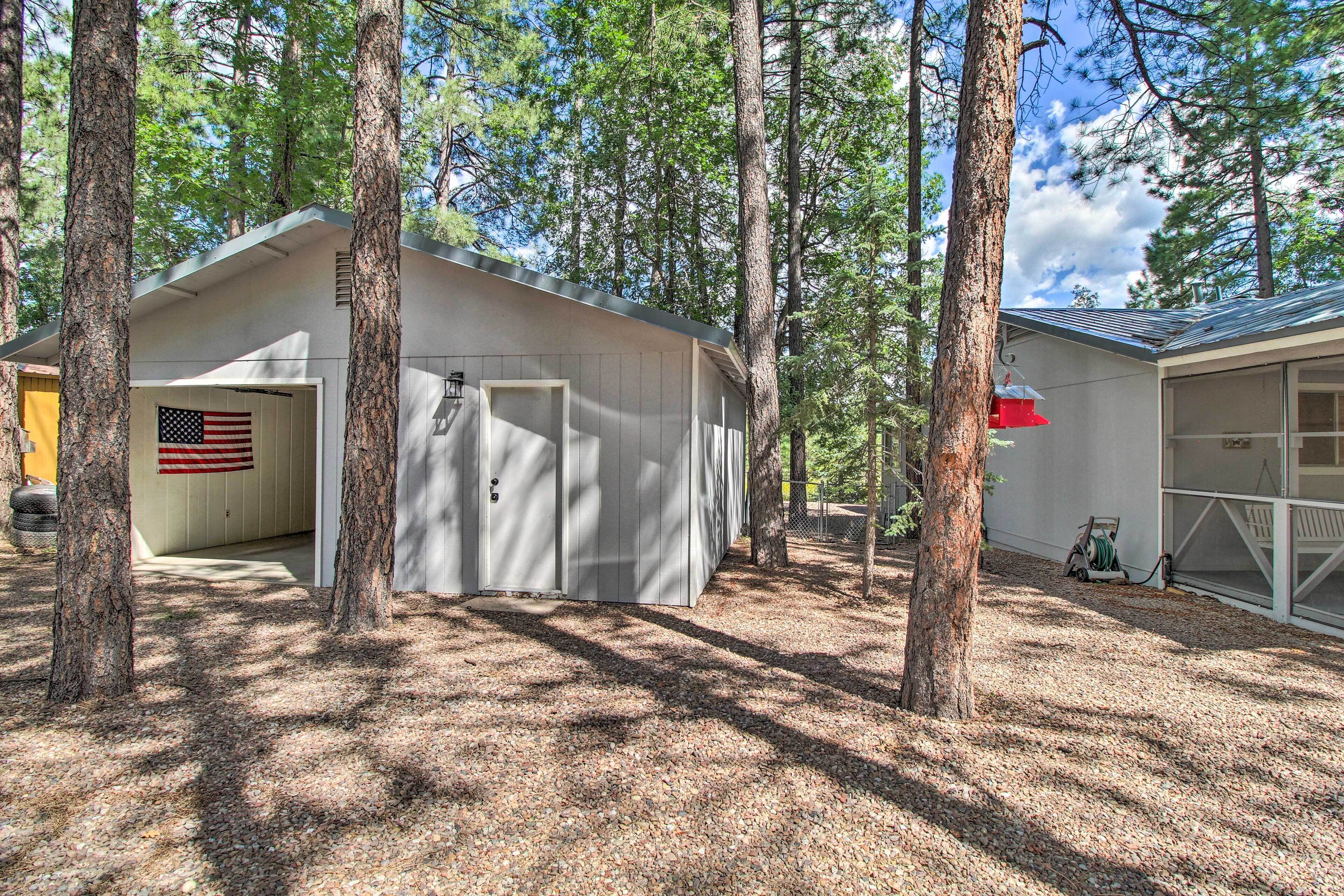 A cabin with a door and a window, surrounded by trees.