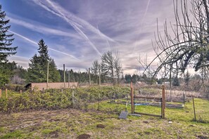 Un paisaje rural con una estructura metálica, posiblemente una cerca o portón, rodeado de árboles y vegetación.
