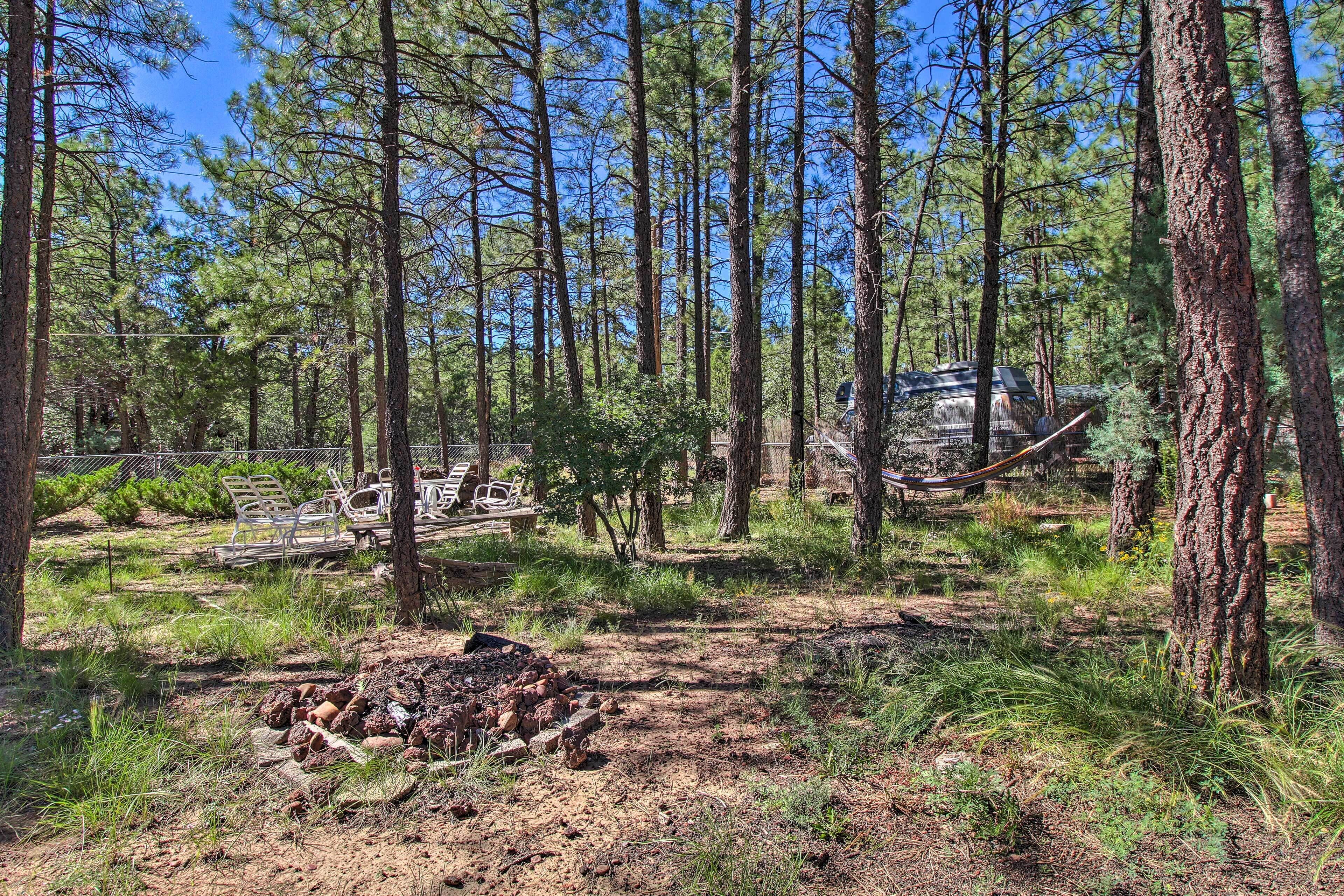 A forested area with a fire pit, picnic tables, and a hammock.