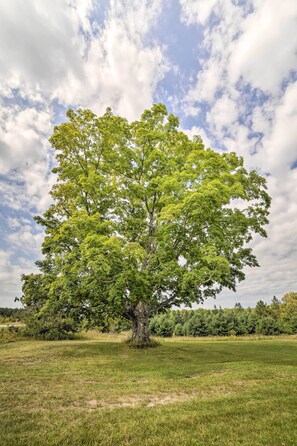 Maison (2 Bedrooms) | Intérieur