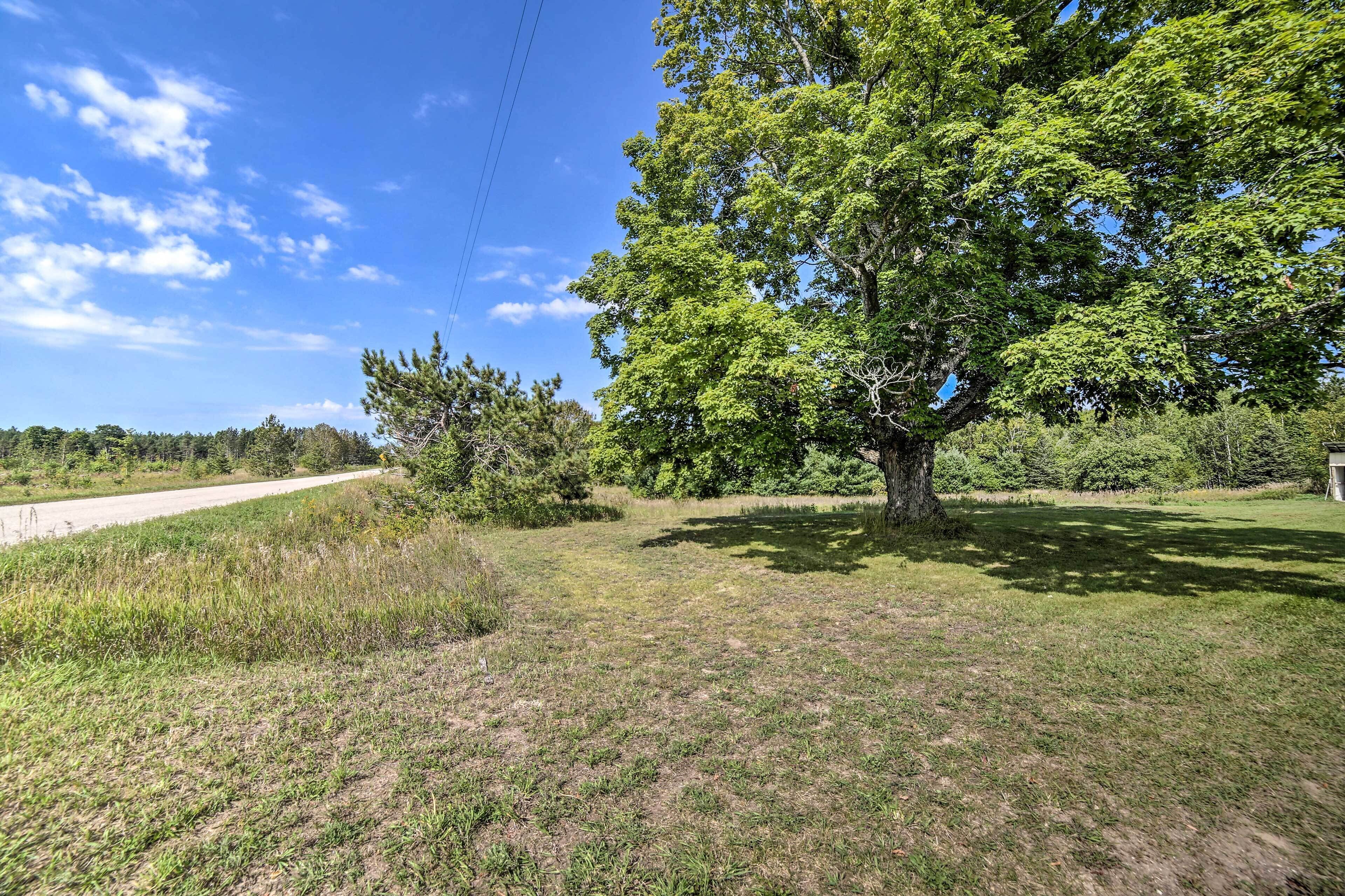 A grassy area with a large tree and a dirt path leading to a road.