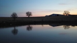 Un cuerpo de agua tranquila que refleja árboles y un edificio.
