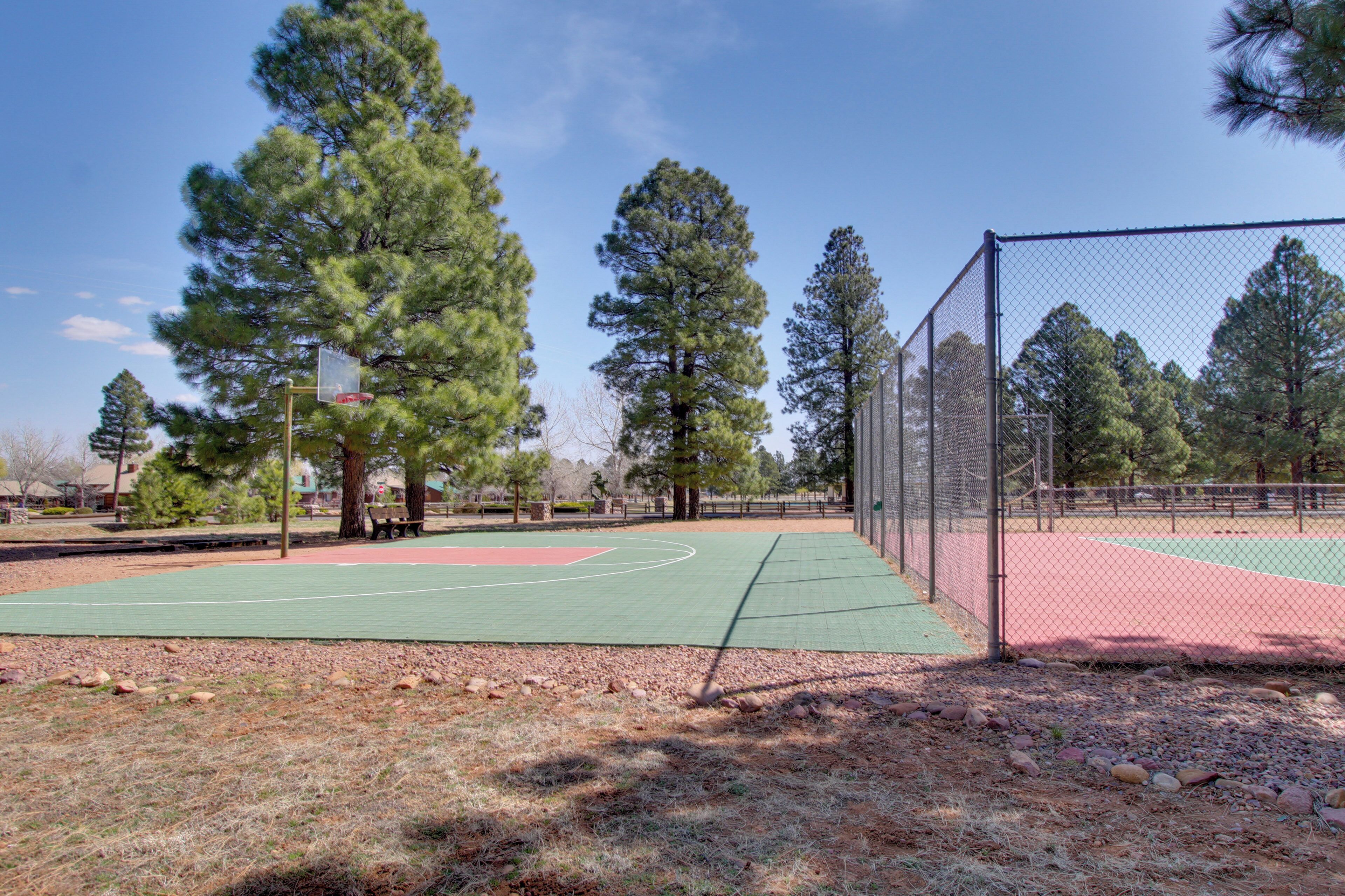 An outdoor basketball court with a chain-link fence, surrounded by tall pine trees.