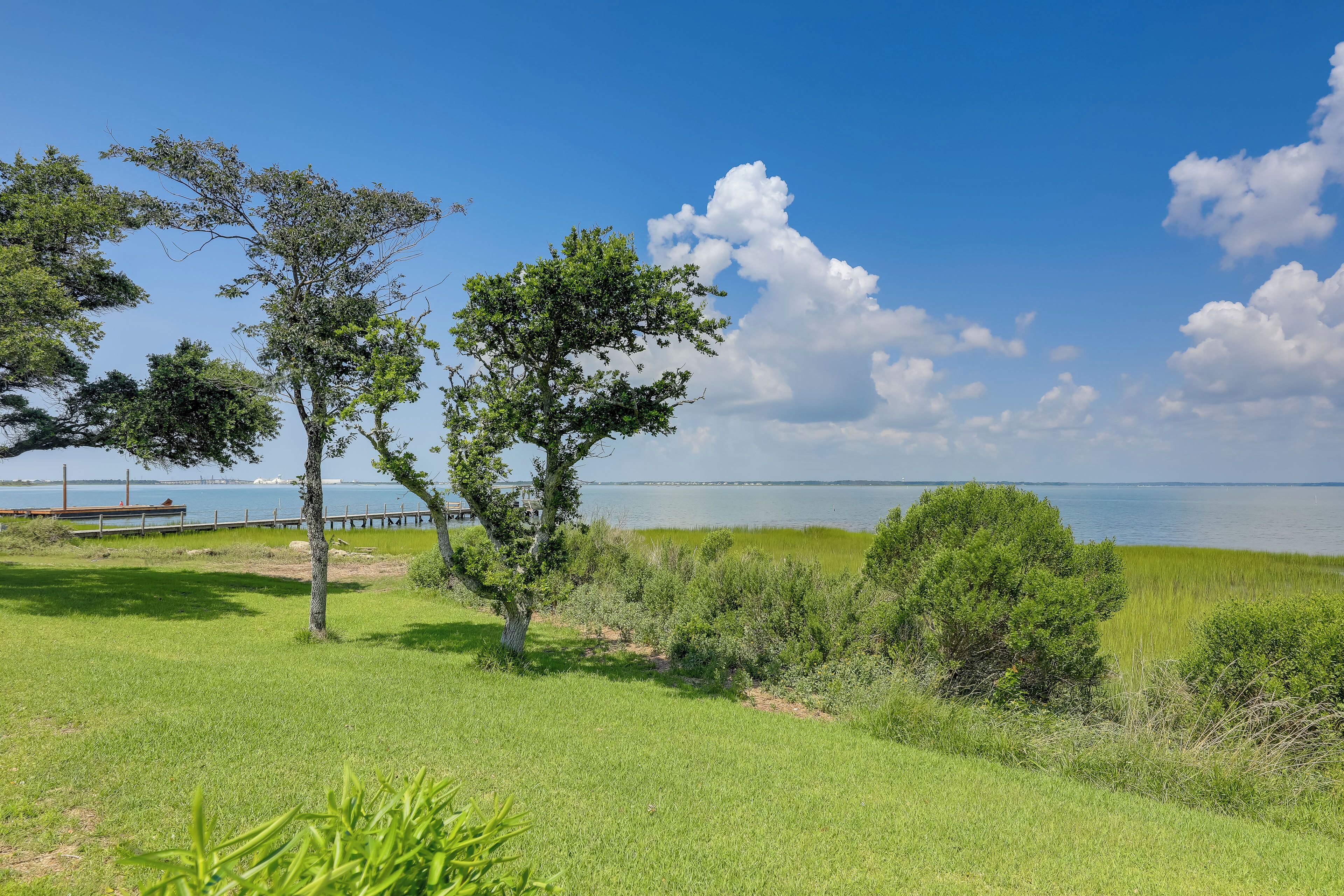 A grassy area with trees and a body of water in the background.