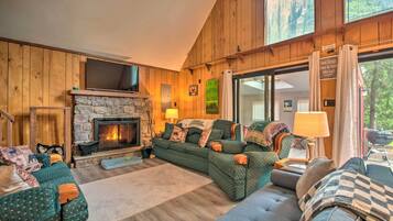 TV, fireplace, video-game console, books