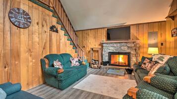 TV, fireplace, video game console, books