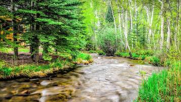 Nhà (4 Bedrooms) | Nội thất