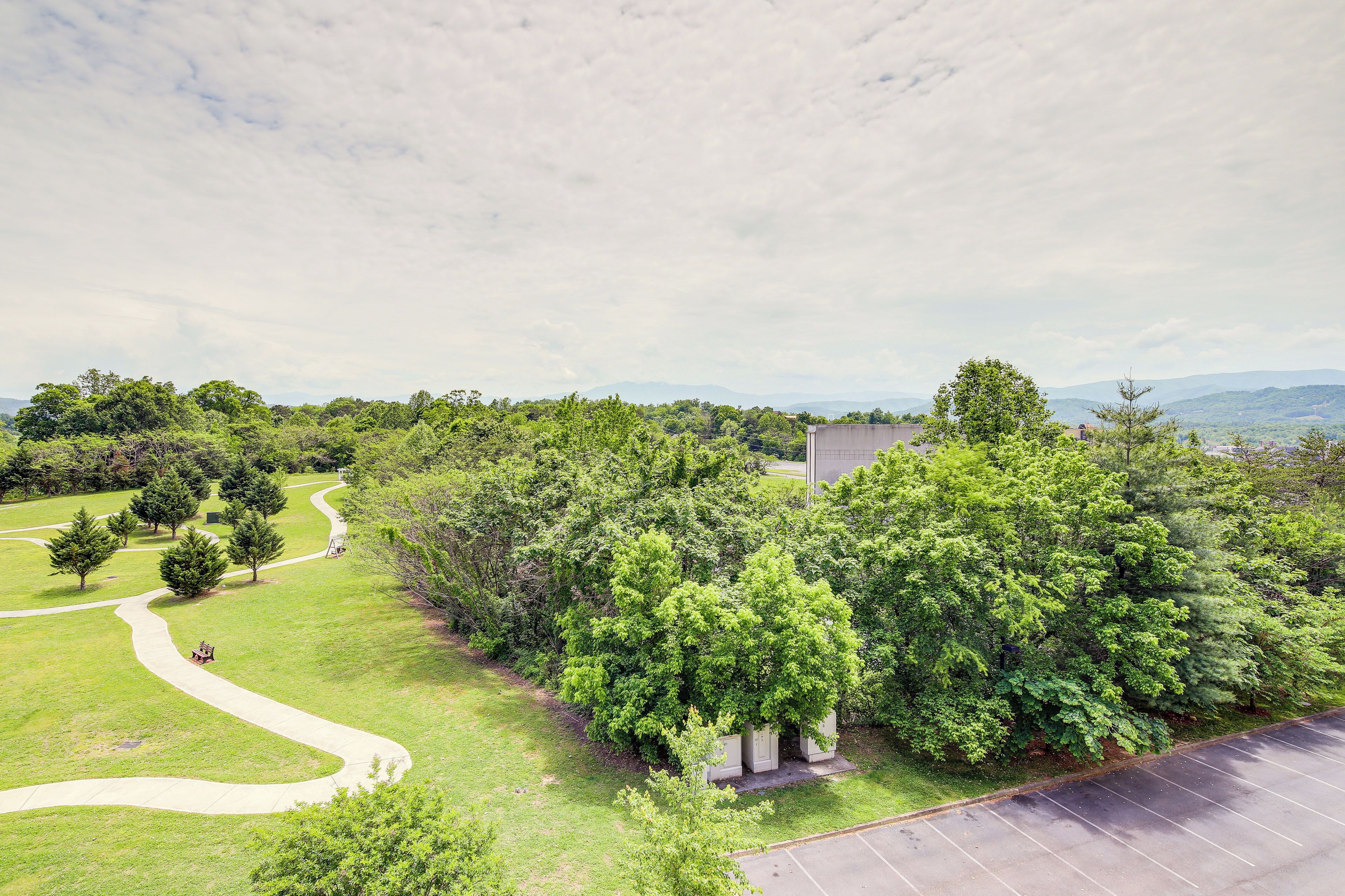 A park with a winding path, green grass, and trees.