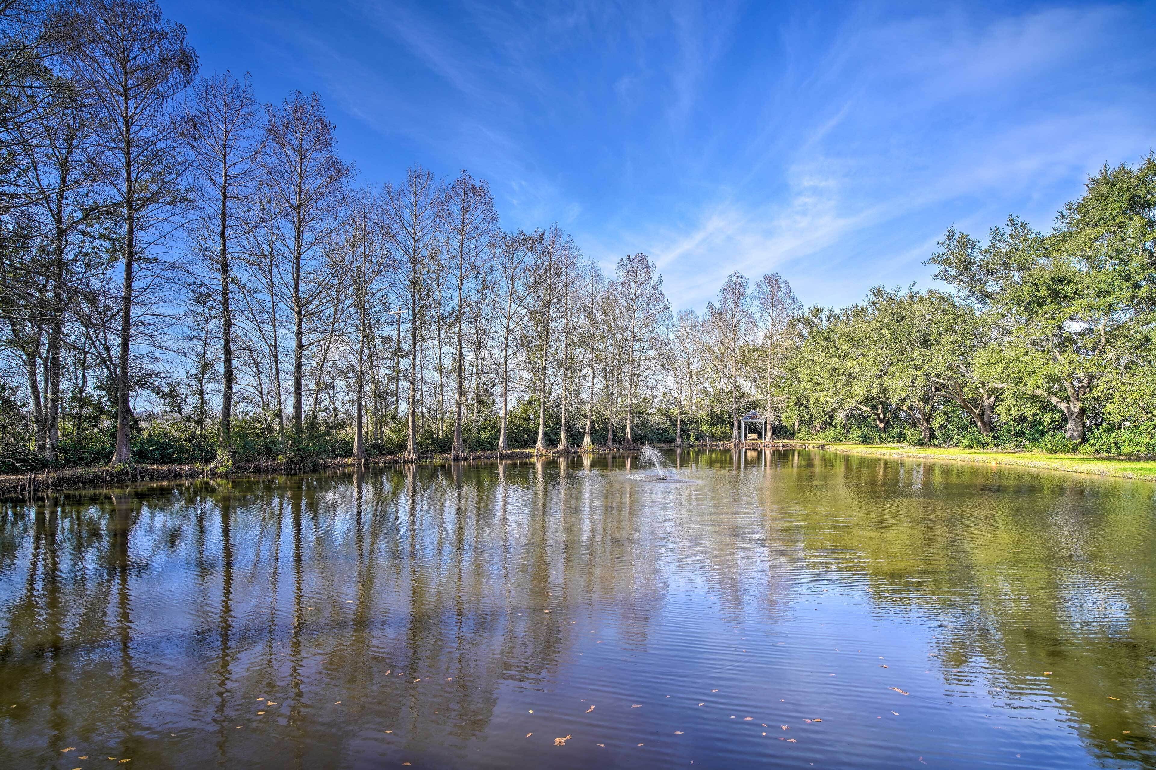 A calm lake with trees reflecting in the water, surrounded by greenery.