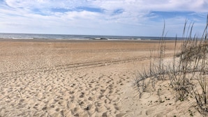 A sandy beach with visible tire tracks and sparse vegetation. - Beachfront Condo w/ Boardwalk & Pool Access! (Atlantic Beach)