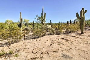 House (3 Bedrooms) | Interior - Classy Tucson Escape w/ Fire Pit on 5 Acres! (Tucson)