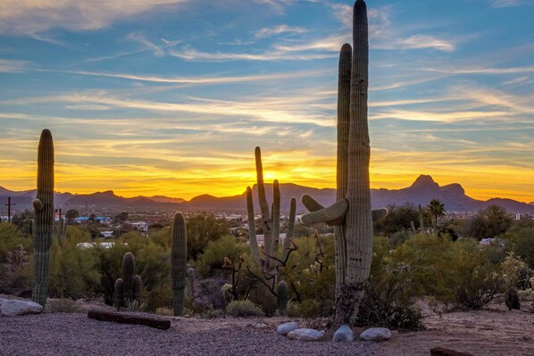 House (3 Bedrooms) | Interior - Classy Tucson Escape w/ Fire Pit on 5 Acres! (Tucson)