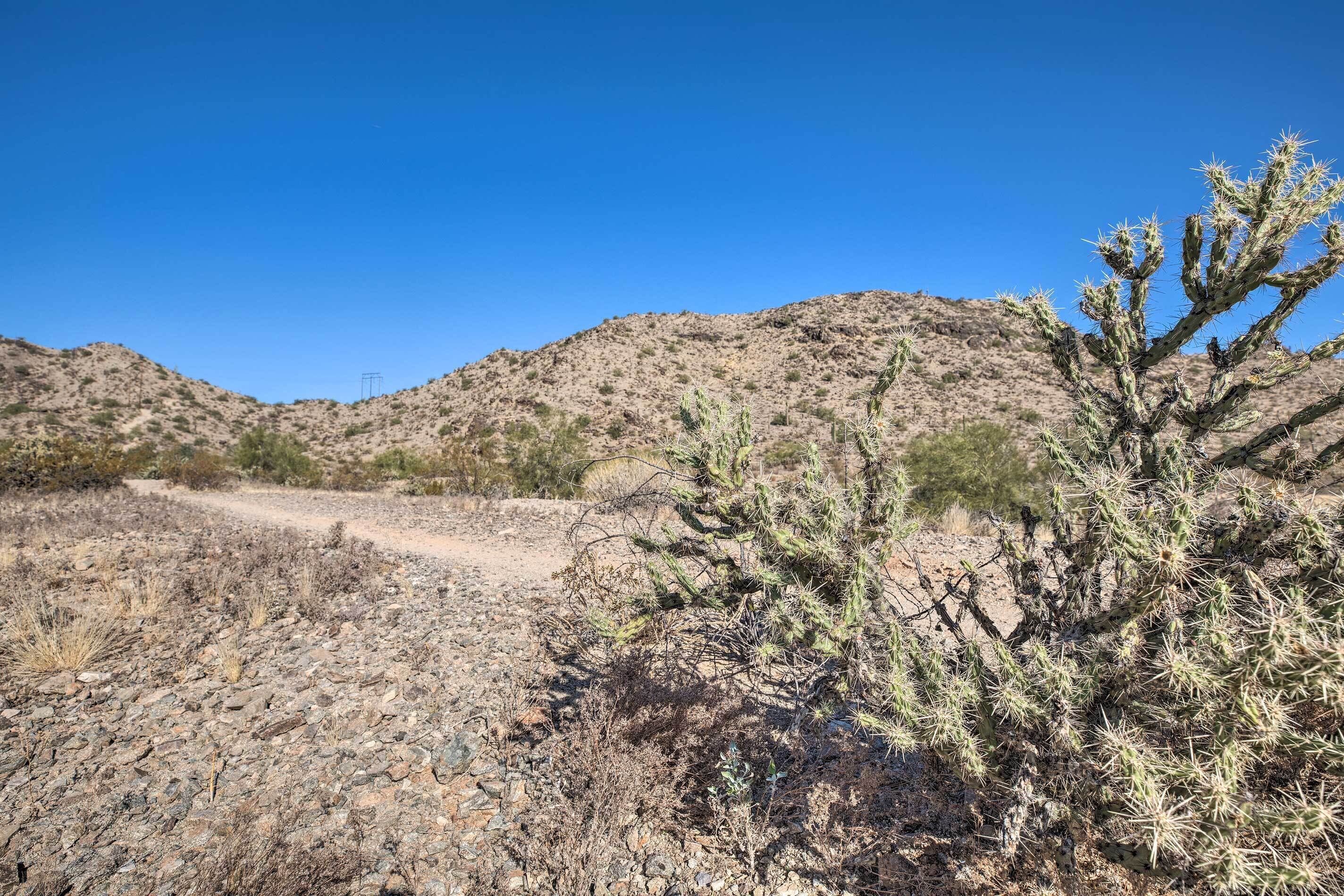 A desert landscape with a prominent cactus in the foreground and a dirt road leading to a hill in the background.