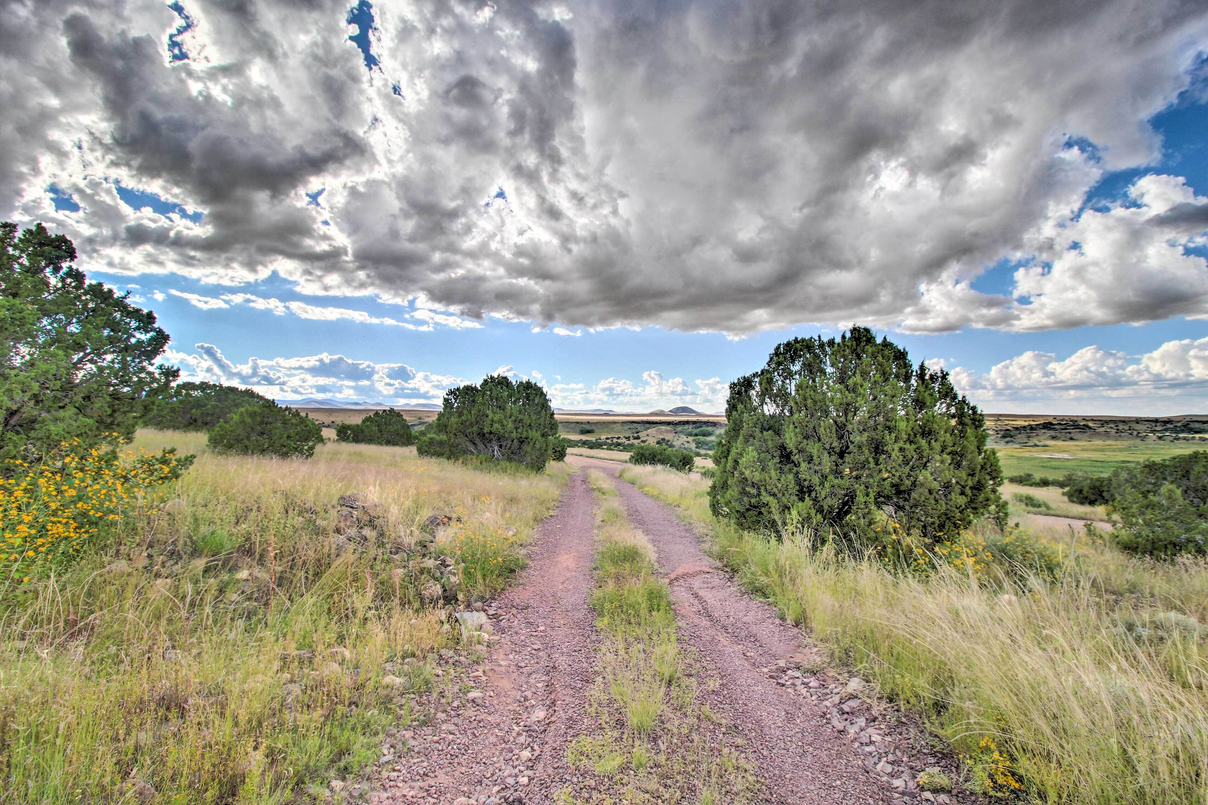 A rural landscape with a dirt road leading through a field of grass and trees.