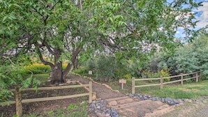 A wooden pathway leading to a tree with a signpost.