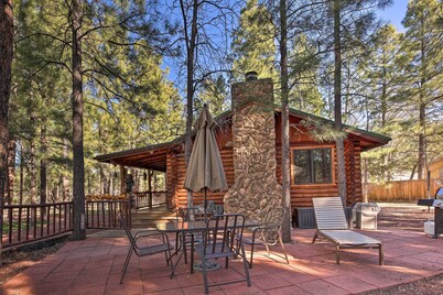 Family & Dog Friendly: Rustic Lakeside Cabin