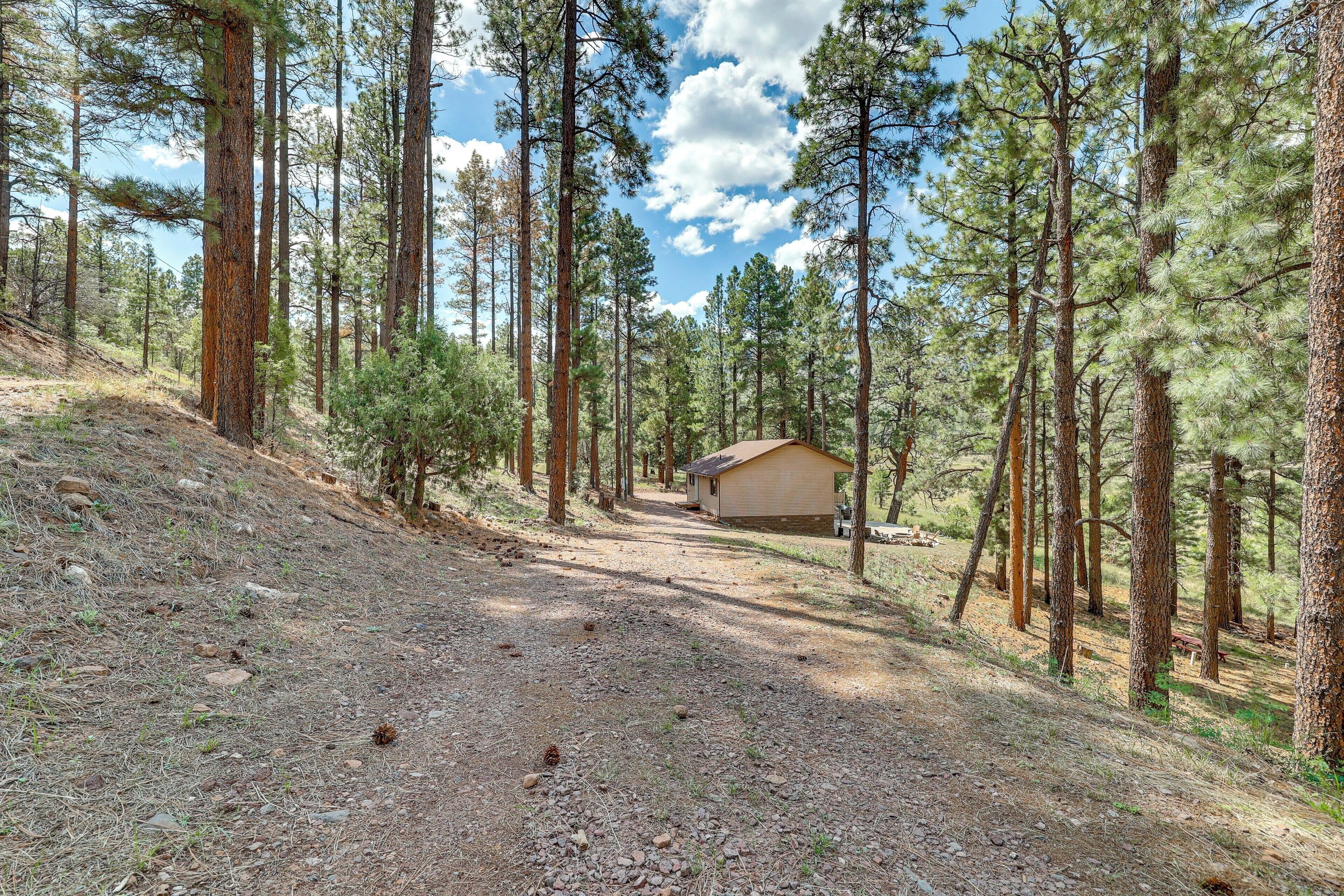 A cabin in a forested area with a dirt path leading to it.