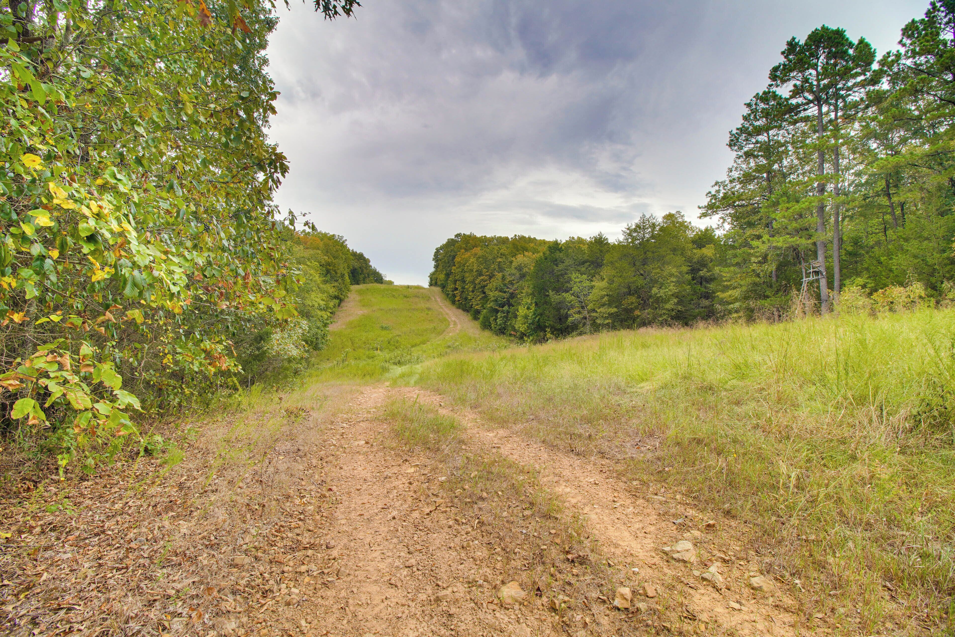 A dirt path leading through a forested area with trees on both sides.