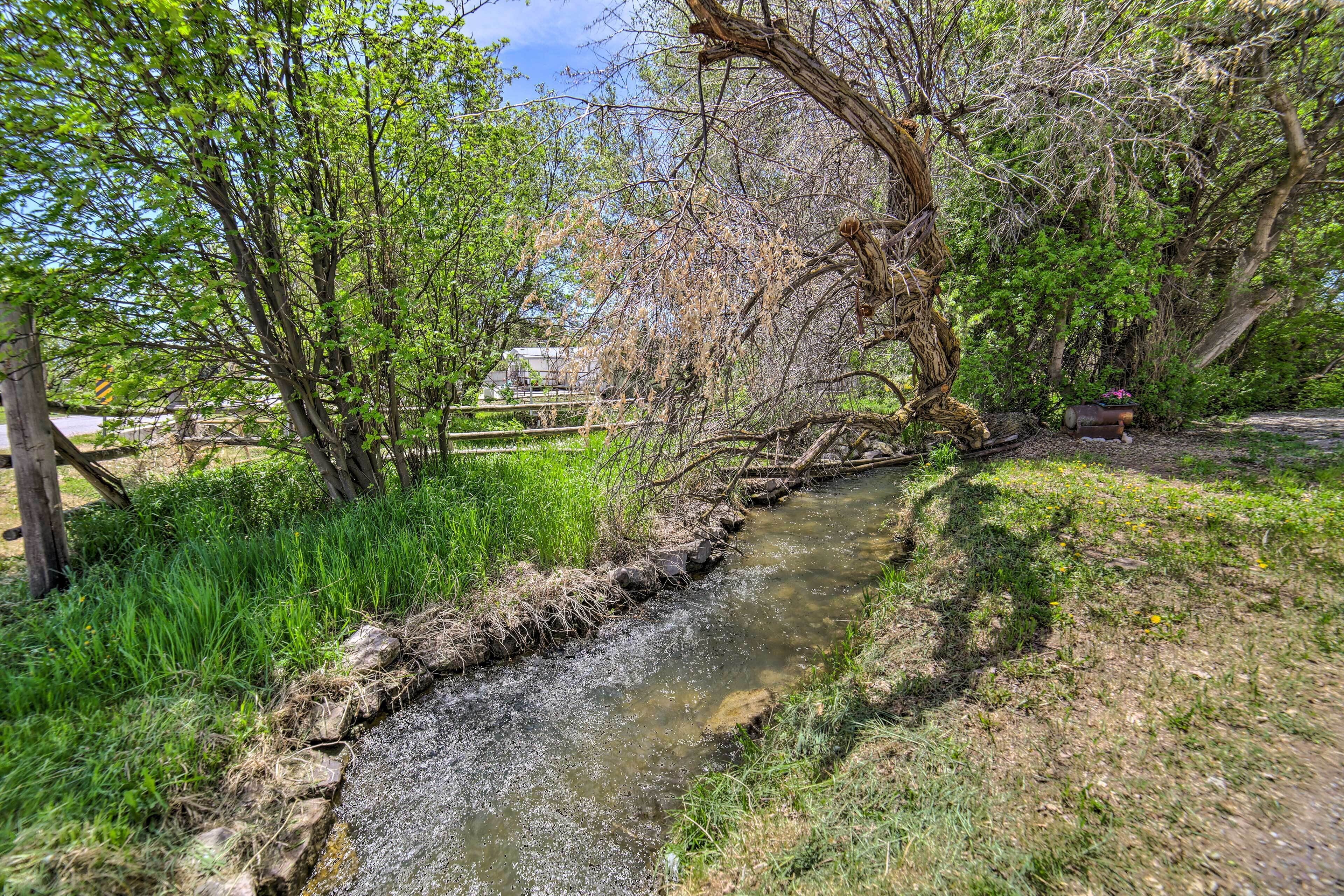 A narrow stream with a wooden bridge, surrounded by lush greenery and trees.