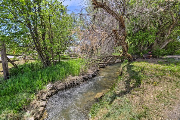 A narrow stream with a wooden bridge, surrounded by lush greenery and trees. - Idaho Falls Farmhouse ~ 11 Mi to Downtown! (Idaho Falls)