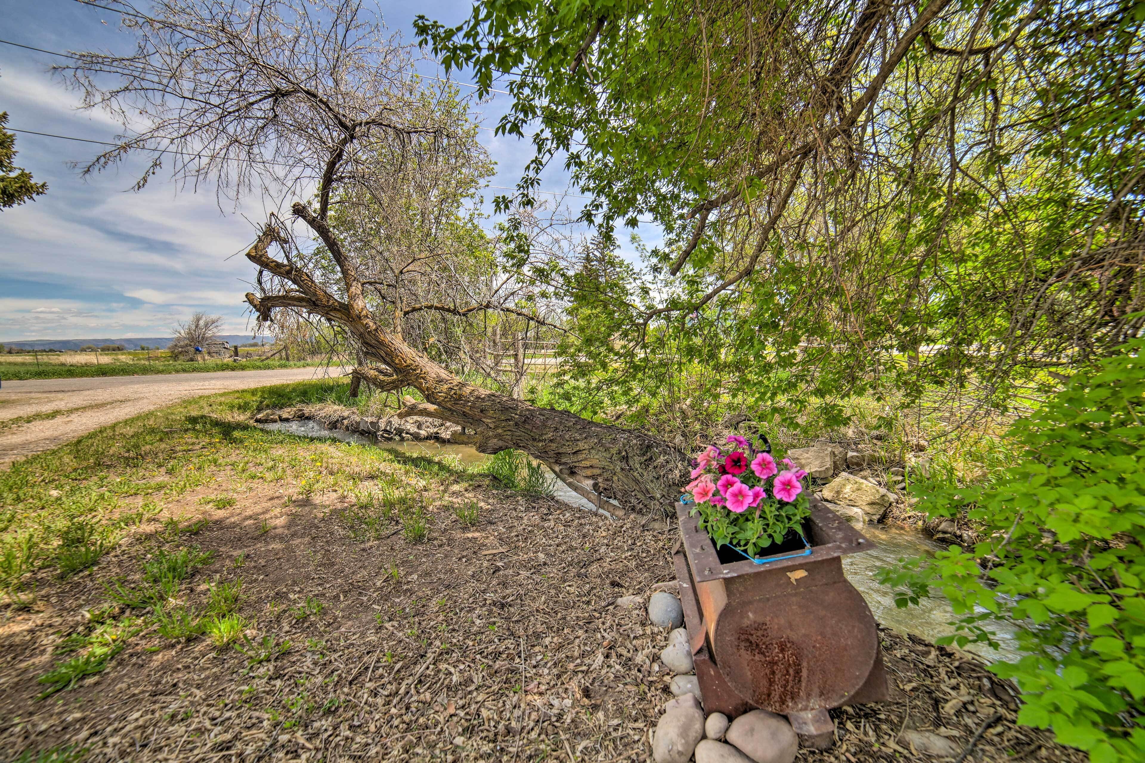 A rural landscape with a fallen tree, a metal planter with pink flowers, and a dirt path.