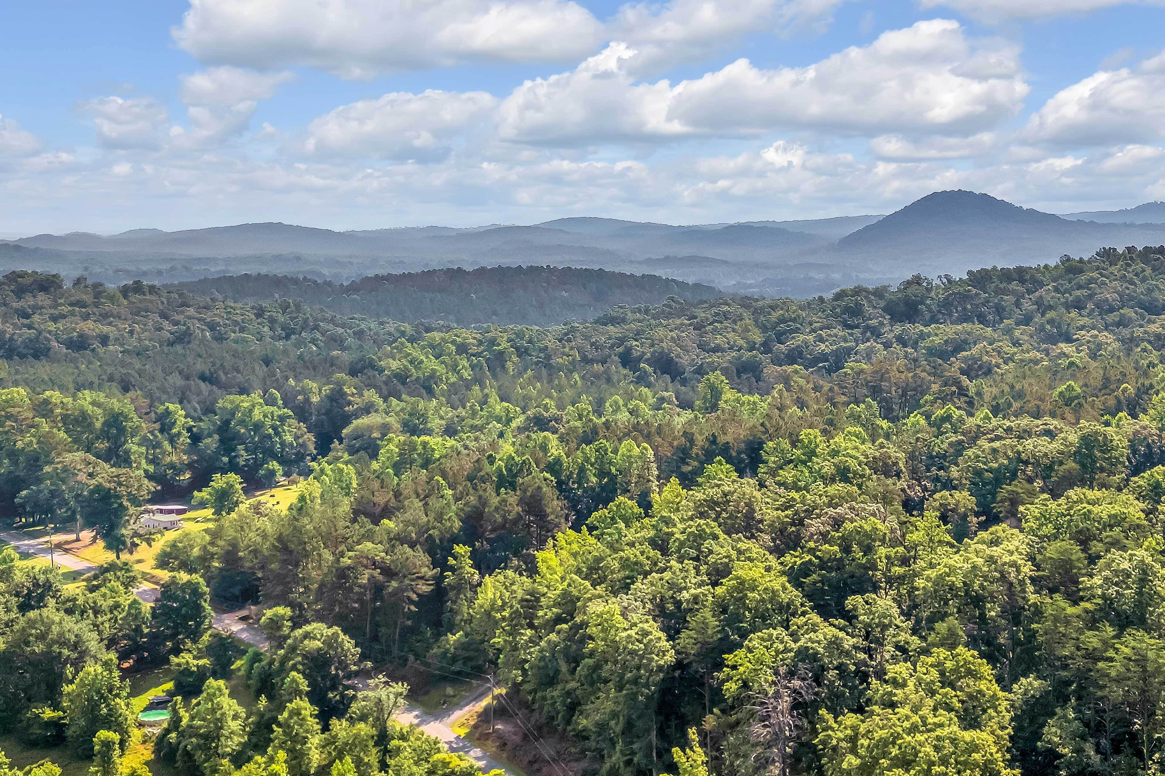 A forested landscape with a mountain in the background and a building with a green roof in the foreground.