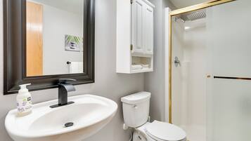 A bathroom with a white sink, a toilet, a mirror, and a shower enclosure.