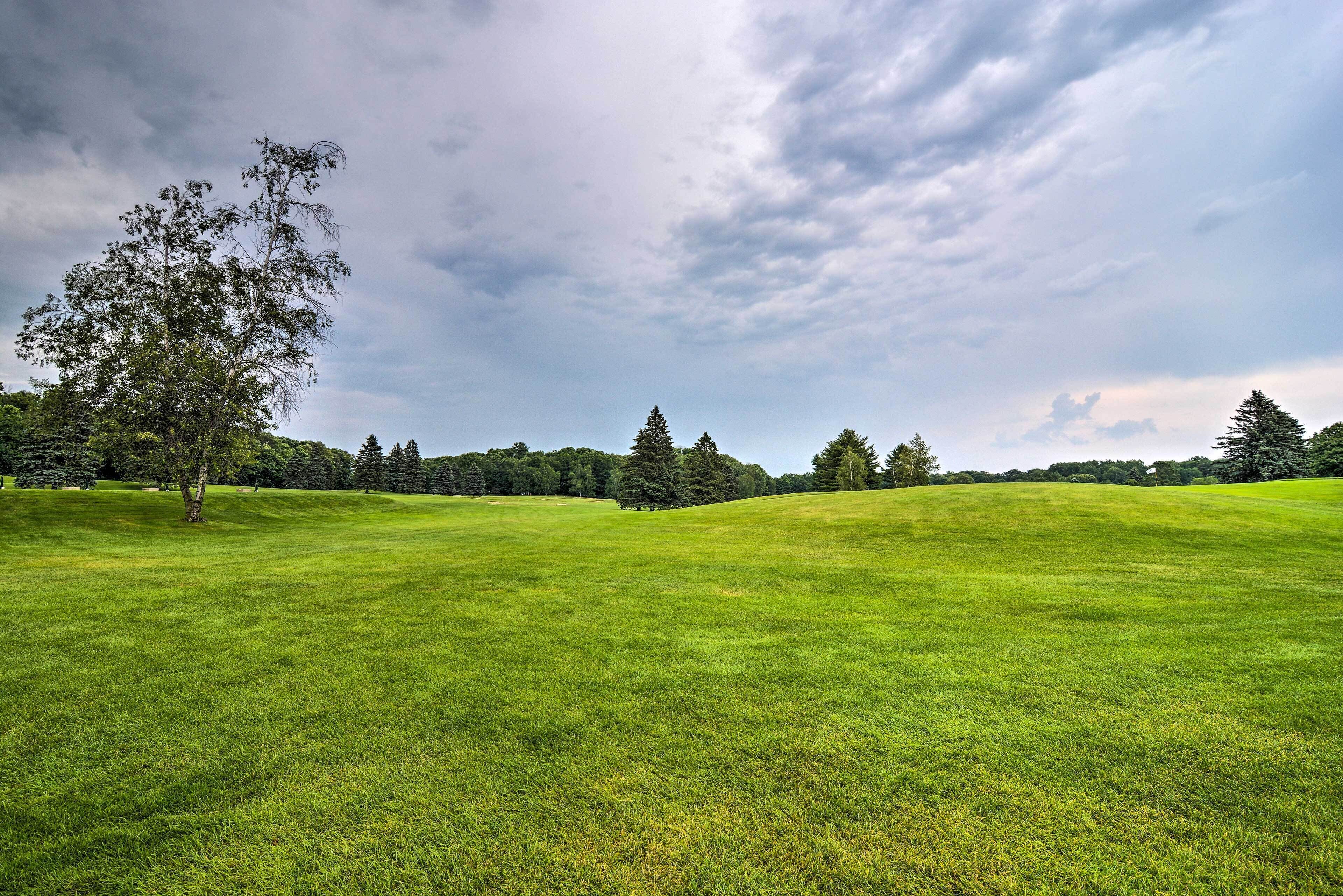 A grassy field with trees in the background and a cloudy sky.