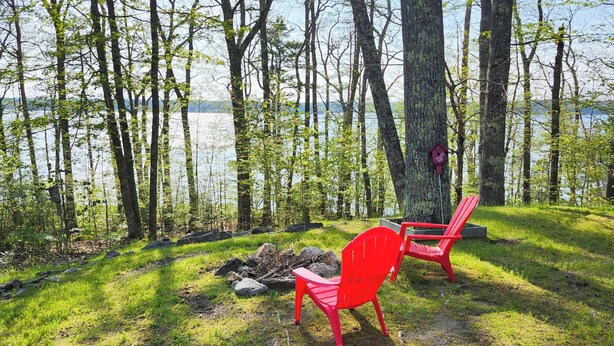 A lakeside setting with two red chairs and a birdhouse near a tree. - Cozy Waterfront Cottage on Montsweag Bay! (Wiscasset)