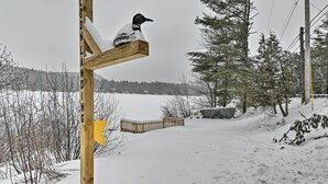 Puinen opastekyltti, jonka päällä istuu lintu, ja jonka ympärillä on lumipeitteinen maa ja puita.