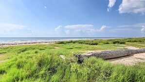 Un paysage côtier avec un premier plan herbeux, un arbre abattu et une plage en arrière-plan.