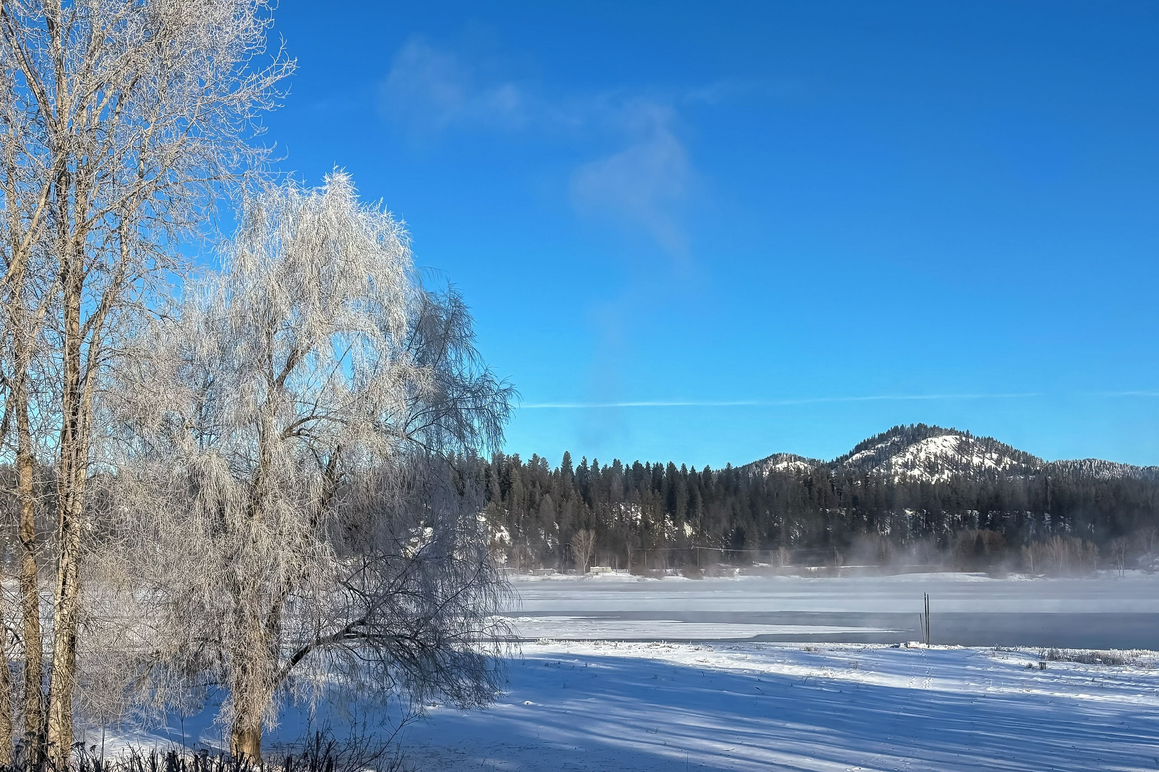 Un paisaje invernal con suelo cubierto de nieve, árboles sin hojas y un cielo azul despejado.