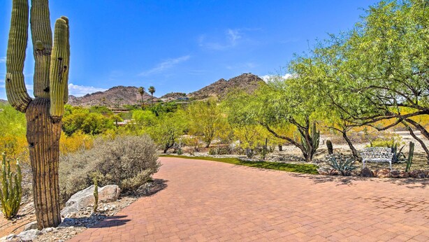 A paved pathway in a desert landscape with cacti and sparse vegetation. - Paradise Valley Cottage Near Hiking Trails! (Paradise Valley)