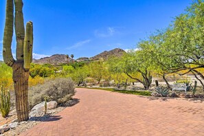 A paved pathway in a desert landscape with cacti and sparse vegetation. - Paradise Valley Cottage Near Hiking Trails! (Paradise Valley)