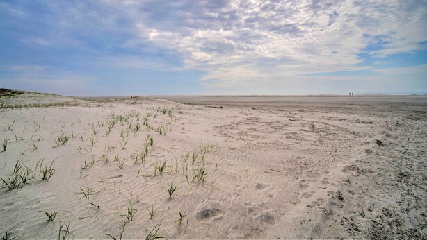 A vast sandy beach with sparse vegetation and a cloudy sky. - Spacious Brigantine Home ~ 1 Block to Beach! (Brigantine)
