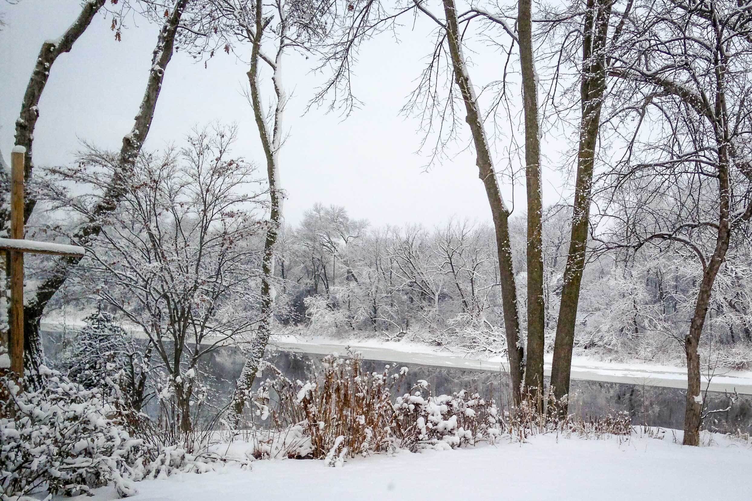 Schneebedeckte Landschaft mit kahlen Bäumen und zugefrorener Wasserfläche.