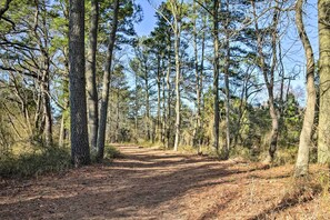 Căn hộ (4 Bedrooms) | Nội thất