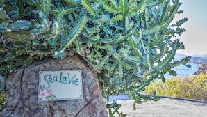 A rock with a sign reading "Sea La Vie" surrounded by green plants. - 'sea La Vie' - Waterfront St Thomas Escape w/ Pool (St. Thomas)
