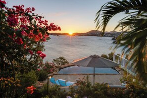 A poolside area with a view of the sunset over the water, surrounded by lush greenery and flowers. - 'sea La Vie' - Waterfront St Thomas Escape w/ Pool (St. Thomas)