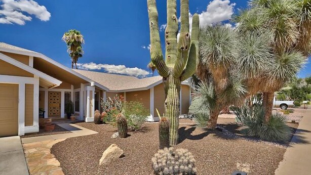 Un paysage désertique avec un grand cactus au centre, entouré de différentes autres espèces de cactus et d’un palmier.