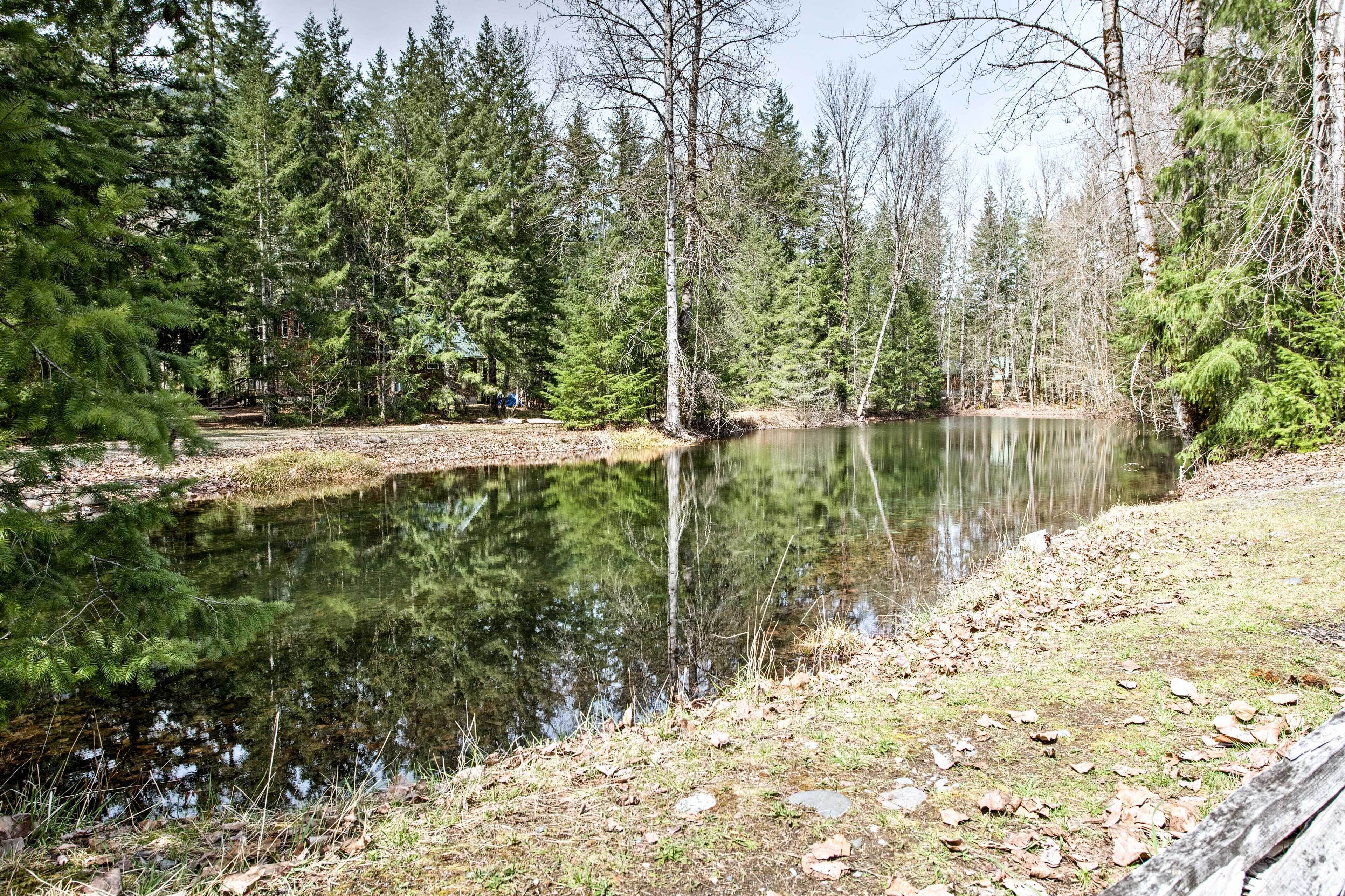 Un lac paisible, entouré d’une forêt dense.