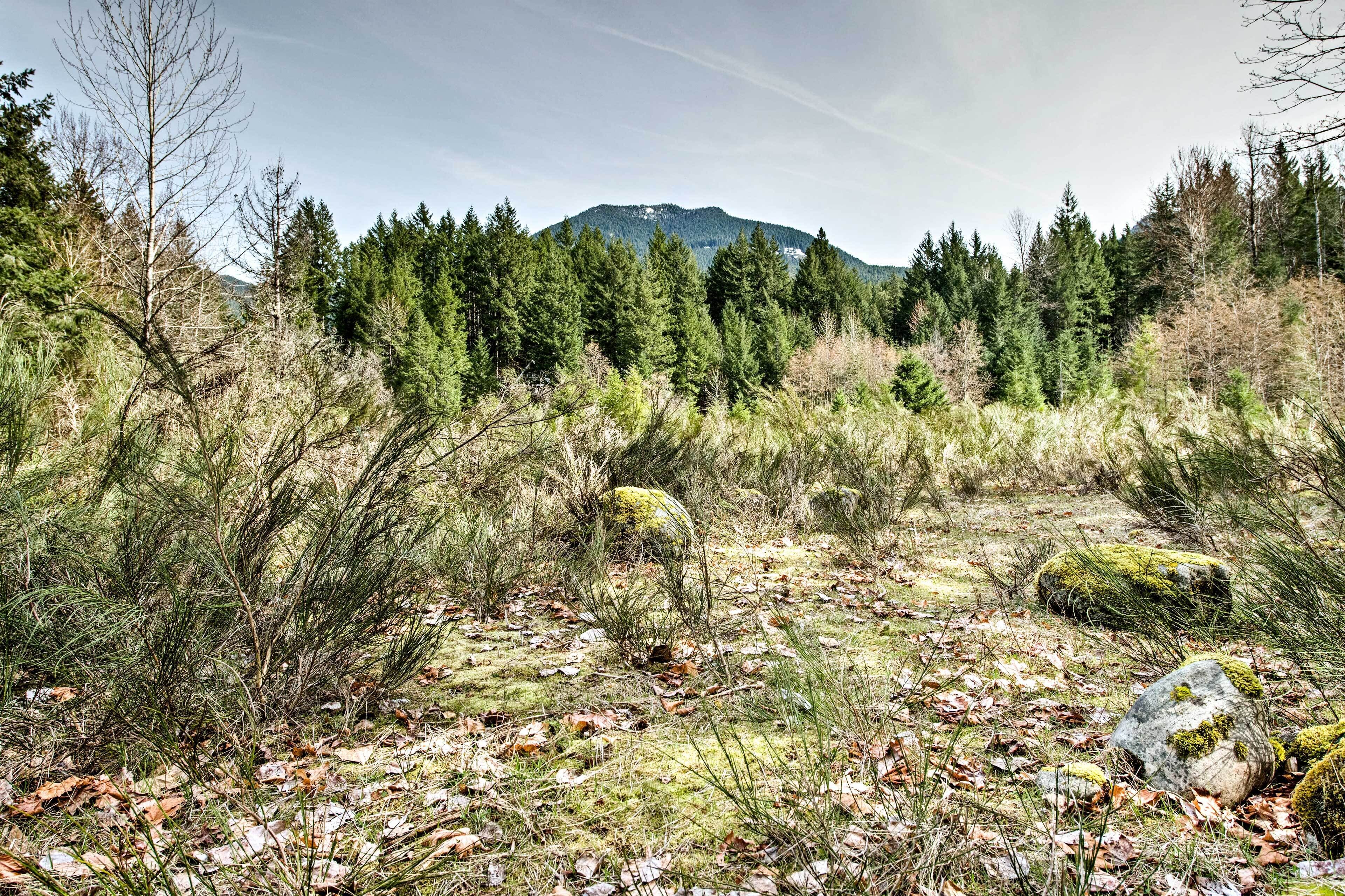 A natural landscape with dense forest, rocky terrain, and a mountain in the background.