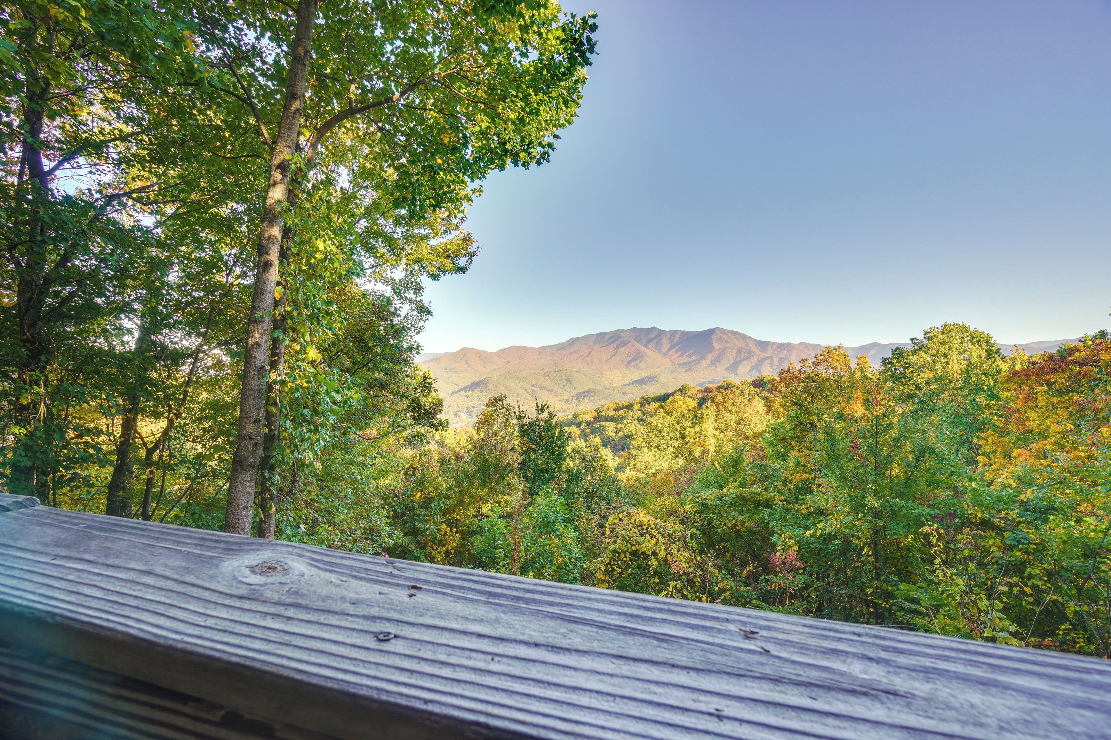 A view from a wooden deck overlooking a forested mountain range.