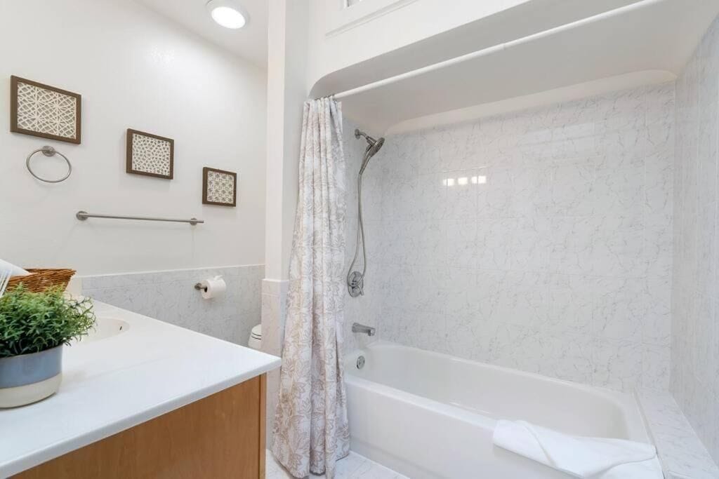 Un baño moderno con bañera, ducha y lavamanos. Hay obras de arte decorativas en la pared y una planta en maceta sobre el mostrador.