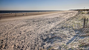 A beach with visible tire tracks and sparse vegetation. - Resort-style Escape w/ Views - Walk to the Beach! (Hilton Head Island)