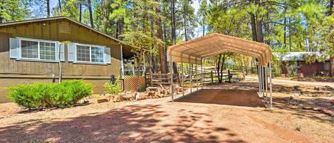 A rustic cabin with a covered outdoor area, surrounded by tall pine trees.