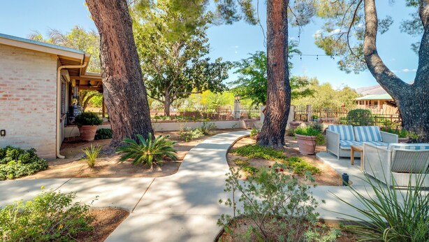 A patio area with a concrete path, potted plants, and outdoor furniture.
