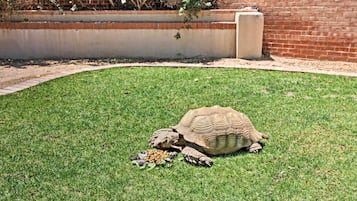 코티지 (1 Bedroom) | 내부